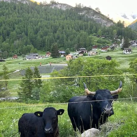 Magnifique Racard Renove Isole 10 Minutes De Marche Horská chata Haudères