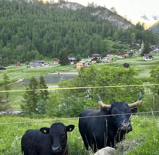Magnifique Racard Renove Isole 10 Minutes De Marche شاليه Haudères